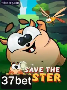 Guia Completo para SavetheHamster: Um Jogo Inovador com 37bet